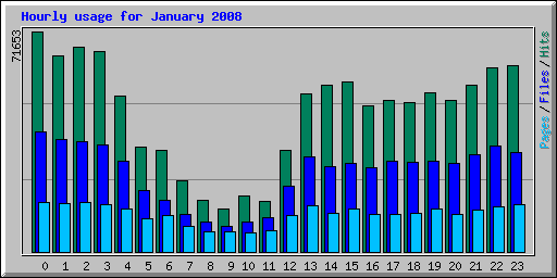Hourly usage for January 2008